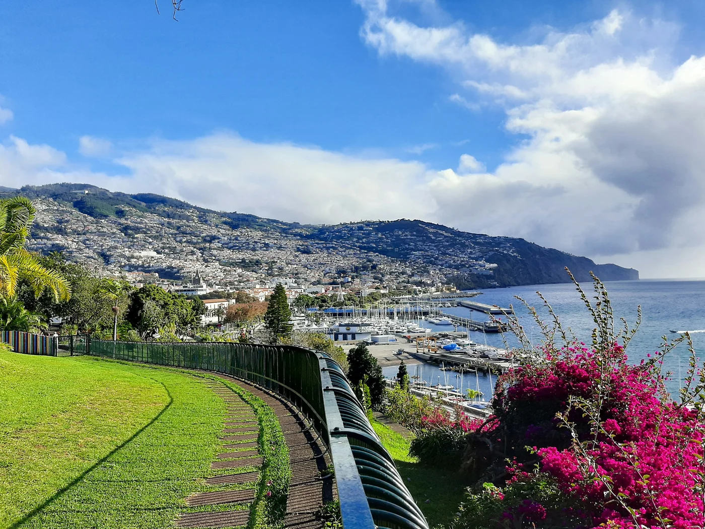 Funchal — photo by Sofia Vila Flor on Unsplash